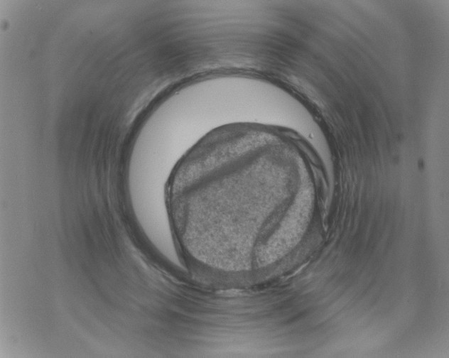 X0000073750544200608311938