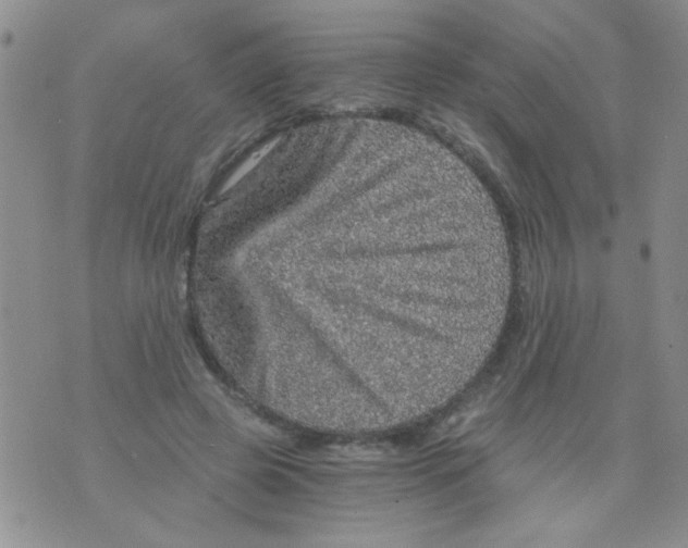 X0000073750545200608311938