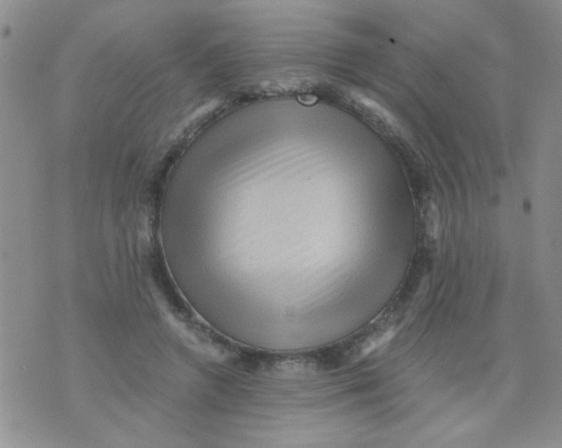 X0000073750546200608311938