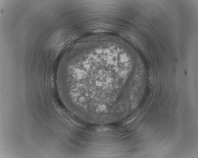 X0000073750547200608311938