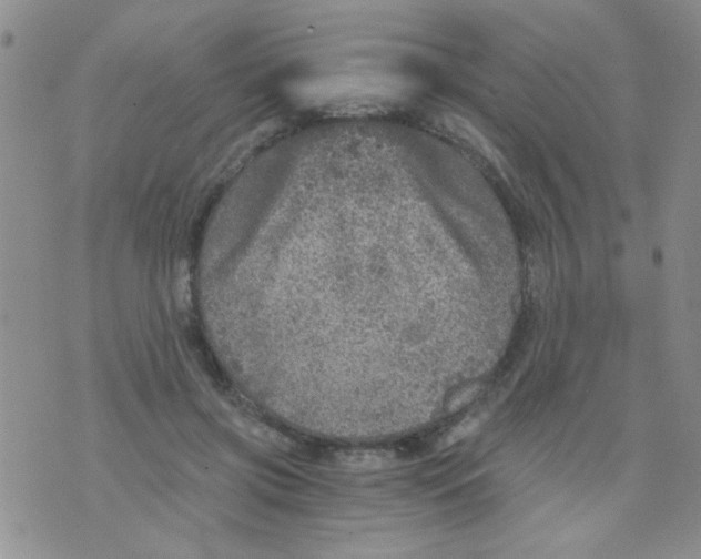 X0000073750549200608311938