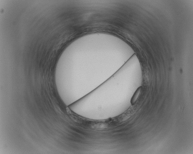 X0000073750551200608311938