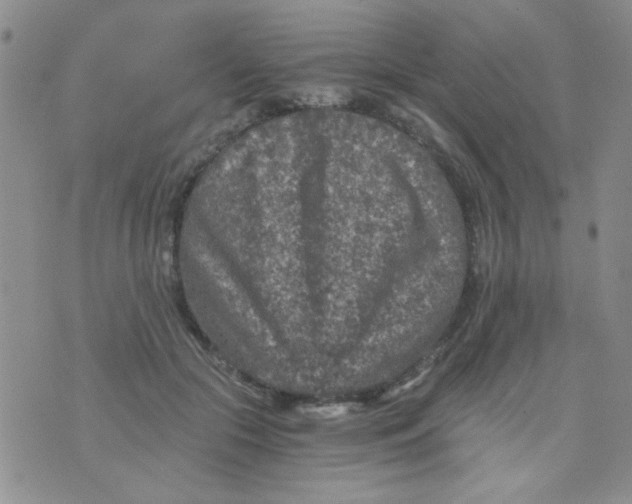 X0000073750553200608311938