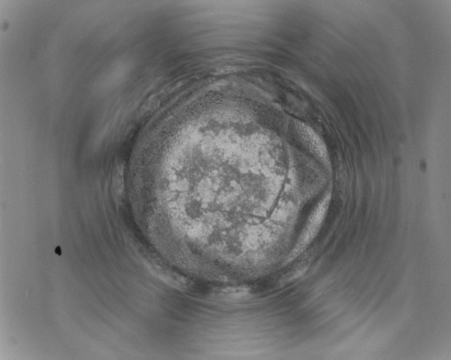 X0000073750554200608311938