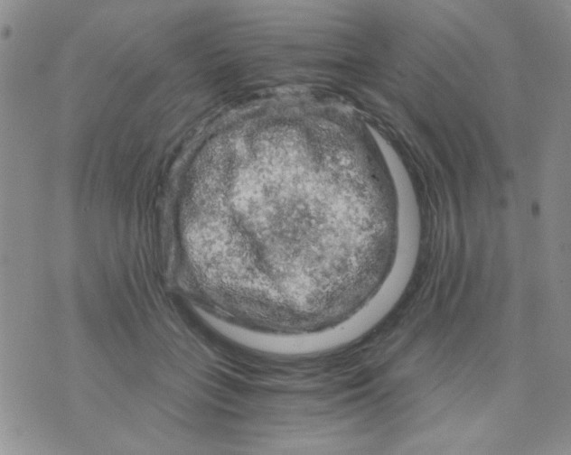 X0000073750555200608311938