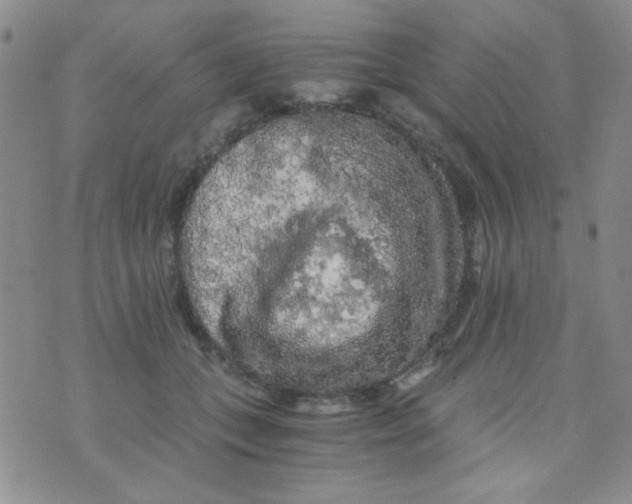 X0000073750559200608311938