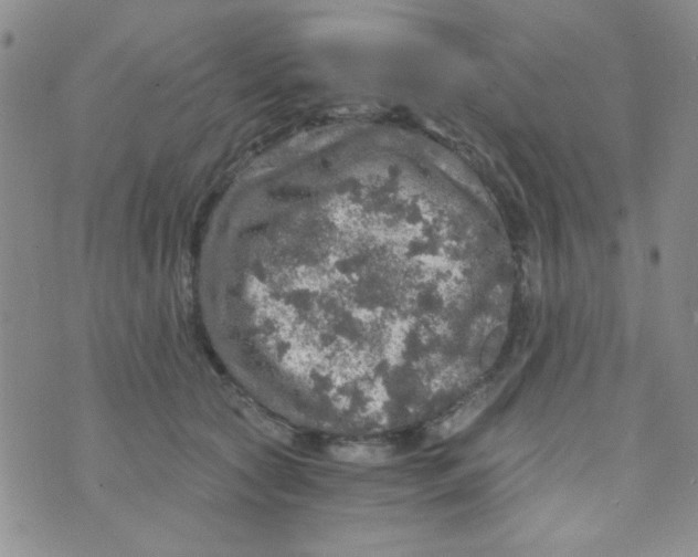 X0000073750561200608311938