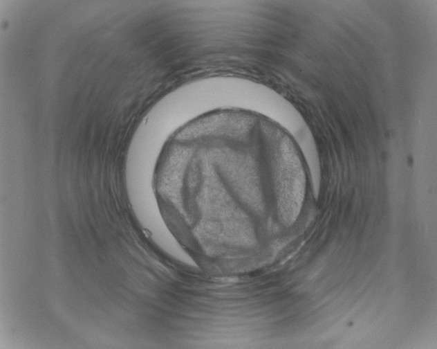 X0000073750562200608311938