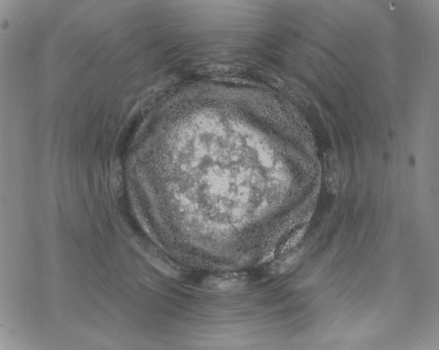 X0000073750563200608311938