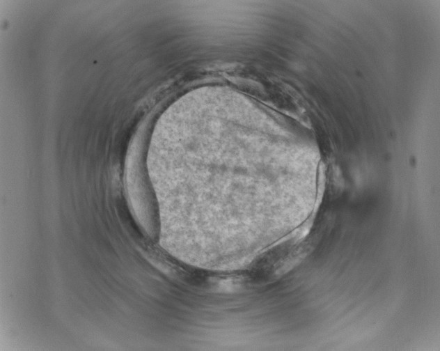 X0000073750564200608311938