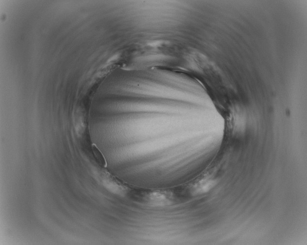 X0000073750566200608311938