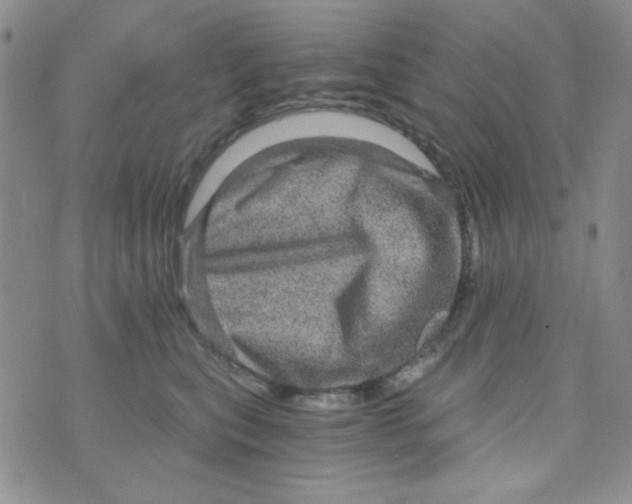 X0000073750567200608311938