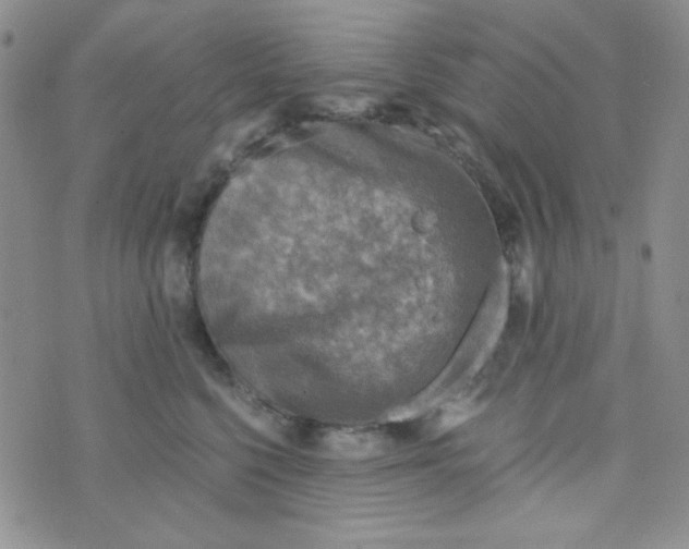 X0000073750568200608311938