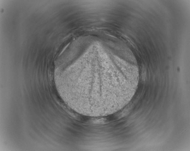 X0000073750569200608311938