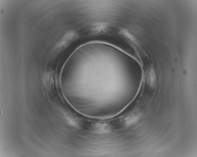 X0000073750570200608311938