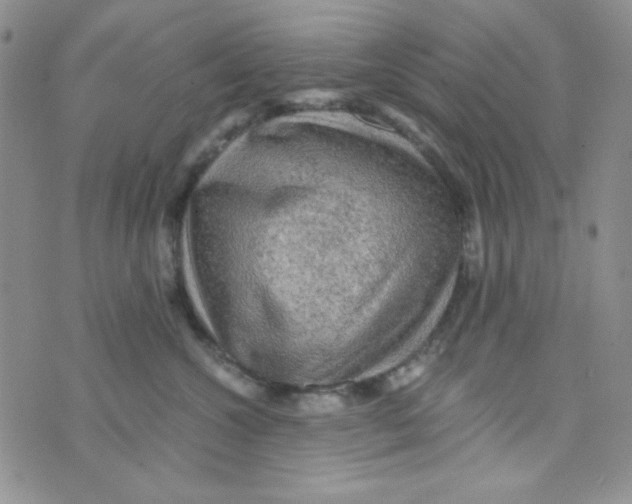 X0000073750572200608311938