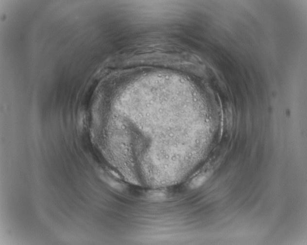 X0000073750574200608311938