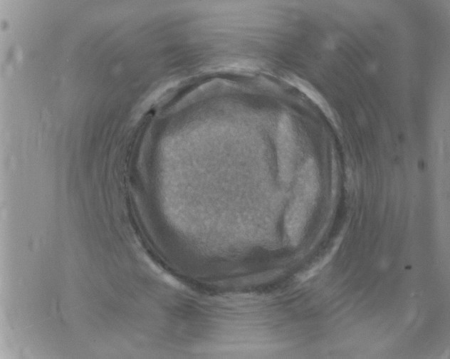 X0000073750577200608311937