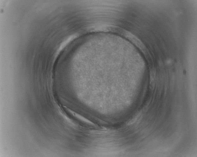 X0000073750578200608311937