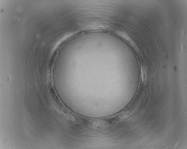 X0000073750579200608311937