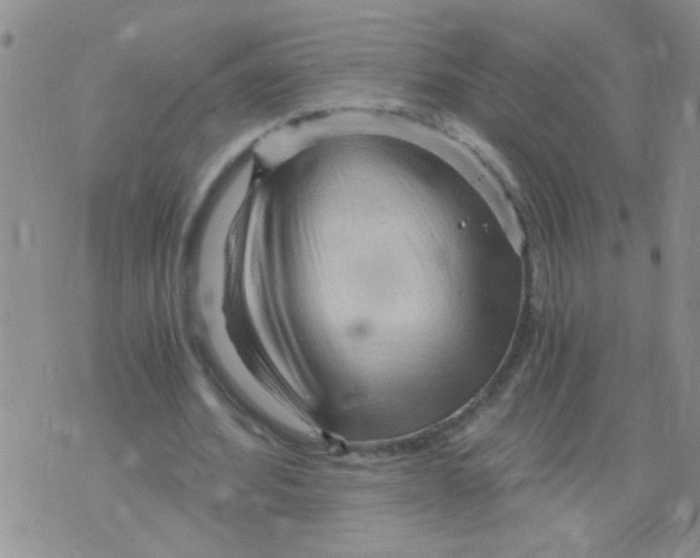 X0000073750580200608311937