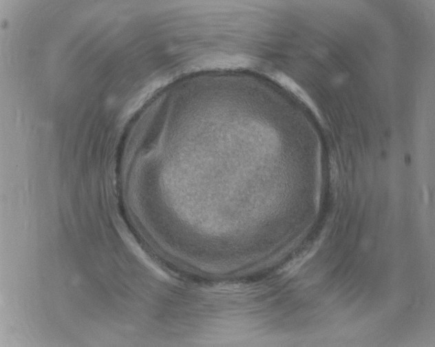 X0000073750581200608311937