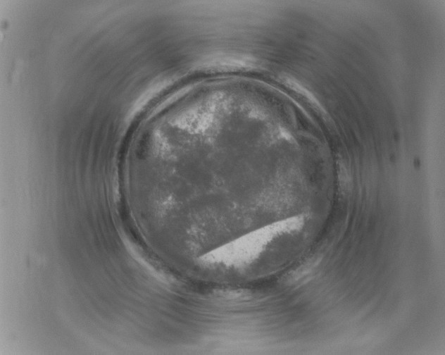 X0000073750582200608311937