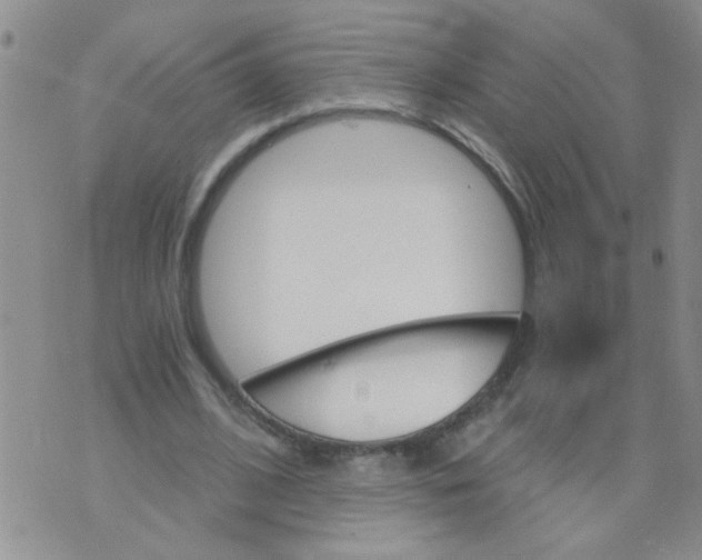 X0000073750584200608311937