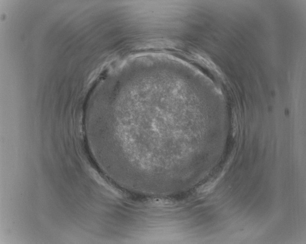 X0000073750585200608311937