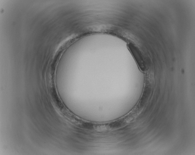 X0000073750587200608311937