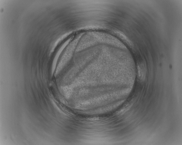 X0000073750588200608311937