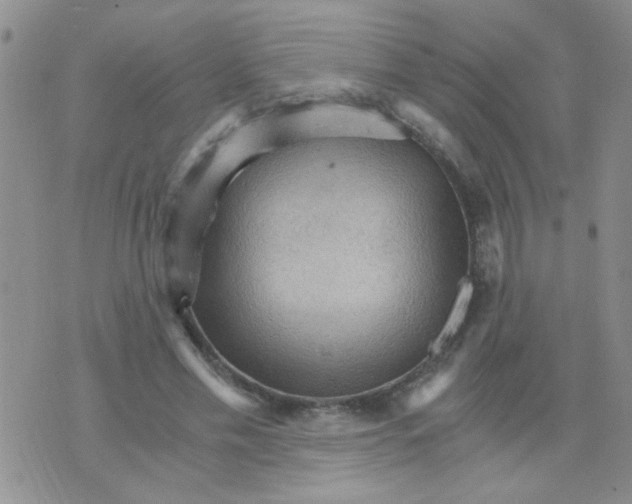 X0000073750589200608311937