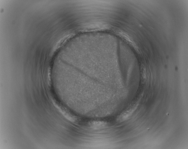 X0000073750590200608311937