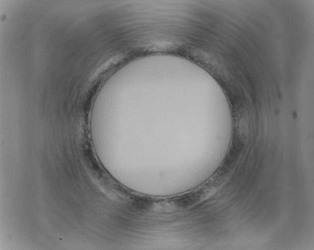 X0000073750591200608311937