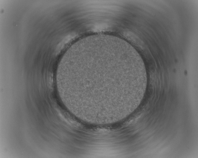 X0000073750592200608311937