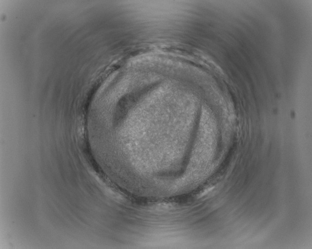 X0000073750593200608311937