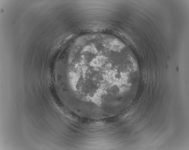 X0000073750594200608311937