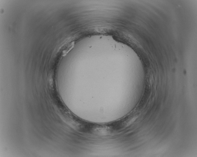 X0000073750595200608311937