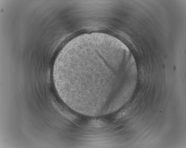 X0000073750596200608311937