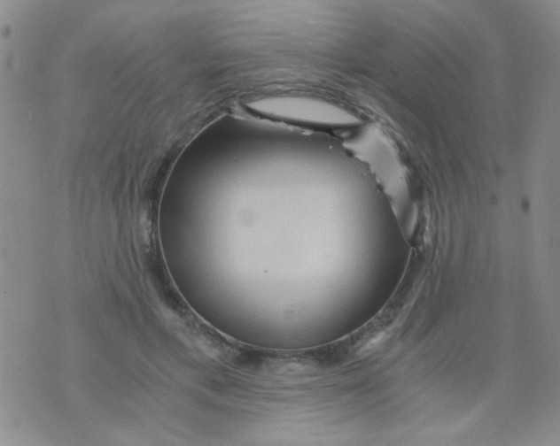 X0000073750597200608311937