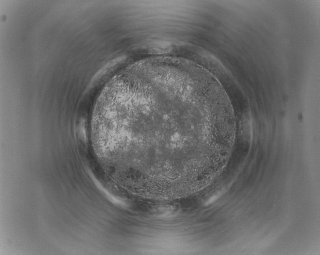 X0000073750598200608311937