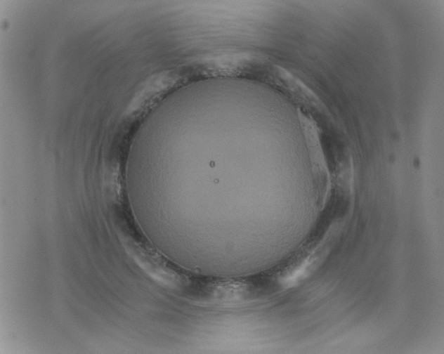 X0000073750599200608311937