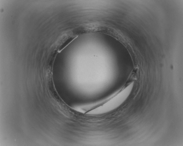 X0000073750601200608311937