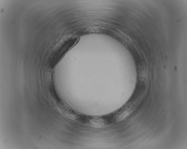 X0000073750603200608311937