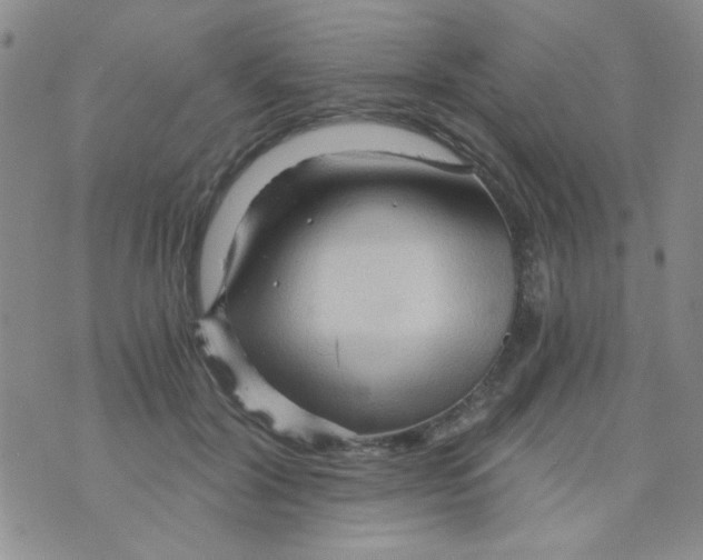 X0000073750604200608311937