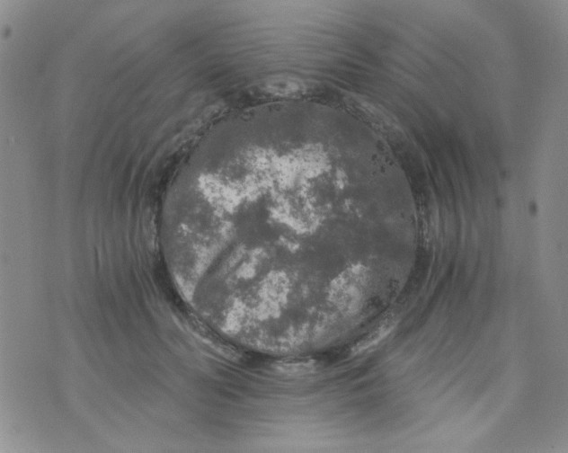 X0000073750606200608311937