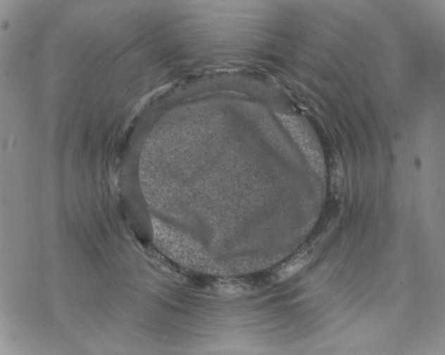 X0000073750608200608311937