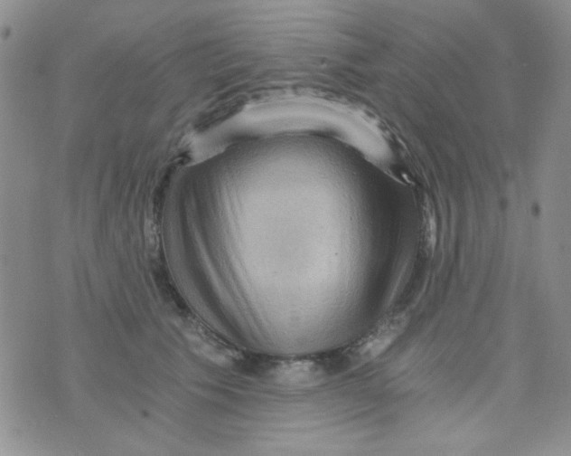 X0000073750609200608311937