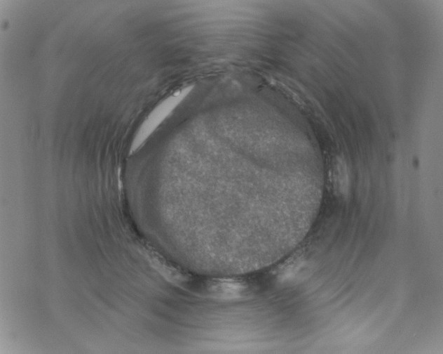 X0000073750610200608311937