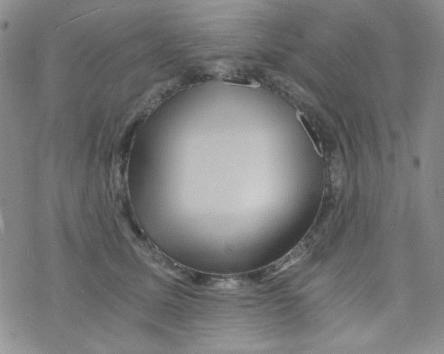 X0000073750611200608311937